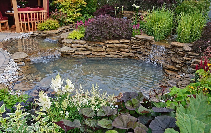 small natural pond with waterfalls